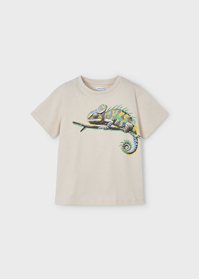 Camiseta m/c chameleon       