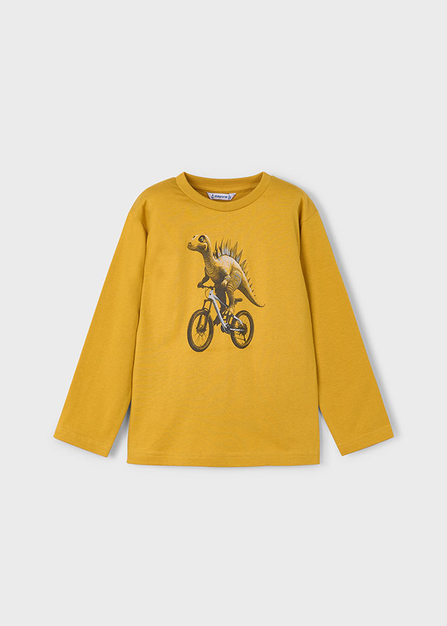 Camiseta dinossauro 