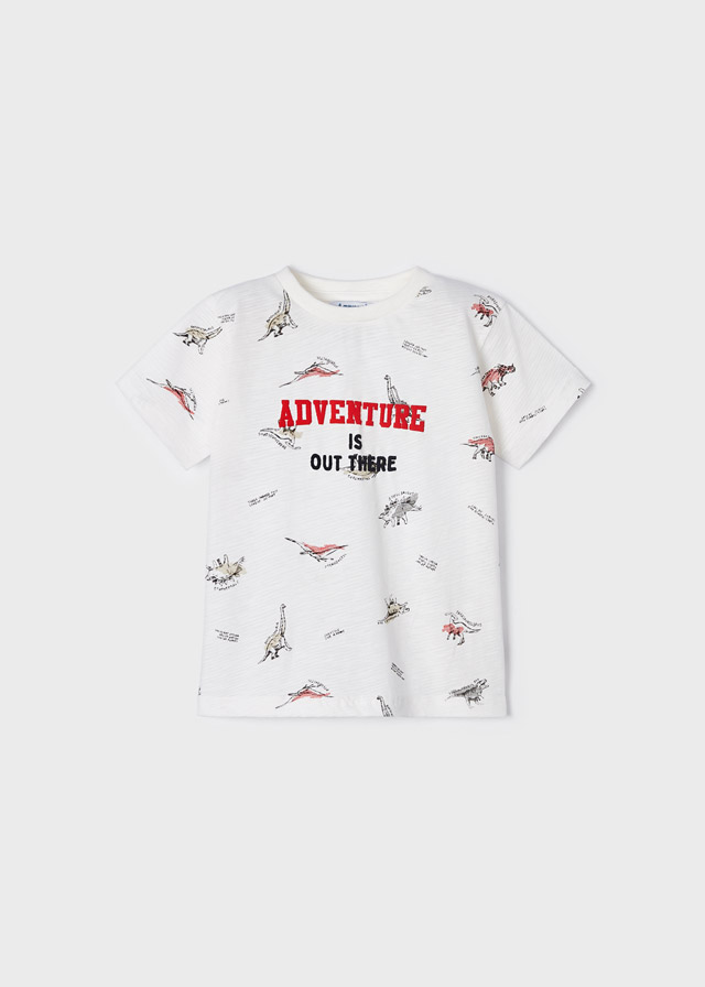 Camiseta estampada           