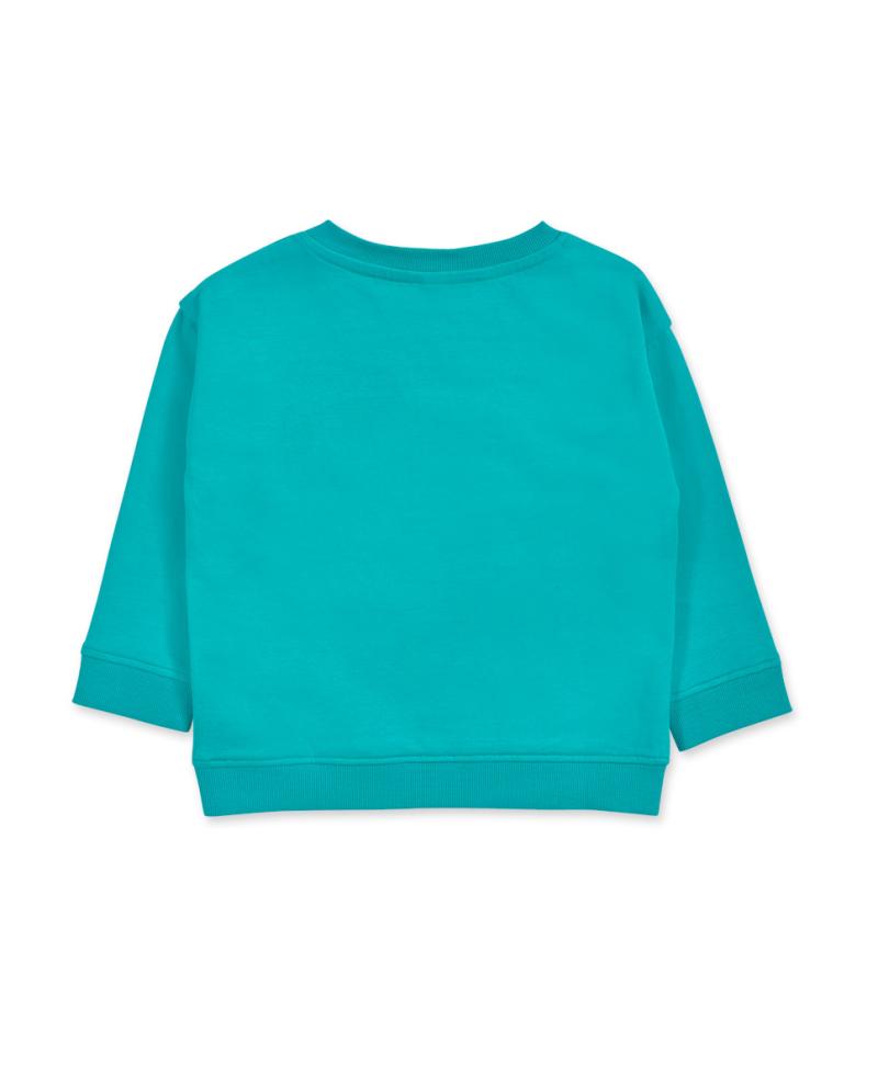 Sweat cardada menino