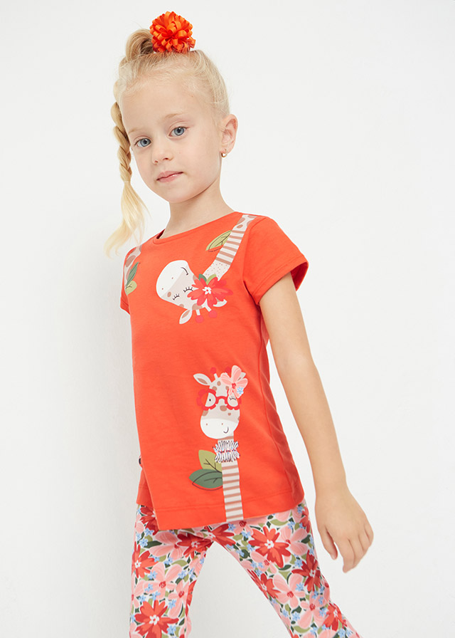 Camiseta serigrafia   